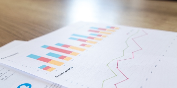 Business Analyst job description template